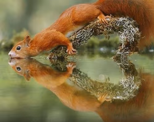 Untitled Collection #46766035