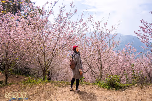 Item #100744422725674417057824683306763013505668843176654858816283484013196373655553 Media