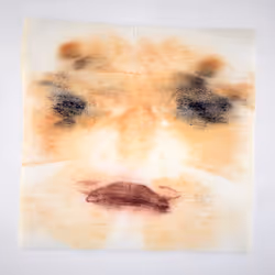 34437631450582783918262521247157200315714719176273242146482300212915149471745