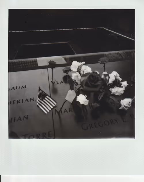 Item #103925043226850068411214111980778021596201122013188060205337914424685133561857 Media