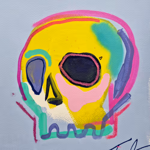 Memento Mori 100 Skulls By Tim Fowler