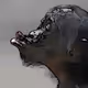 91654499415485127548996775519962846219012231789689417408498146403188683571201