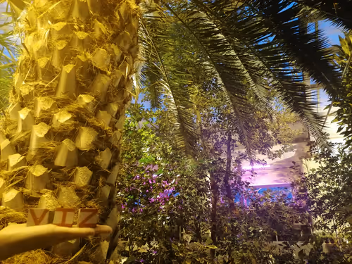 Item #53323516583965133584391269845246755532098013189526444759390359935906440282113 Media