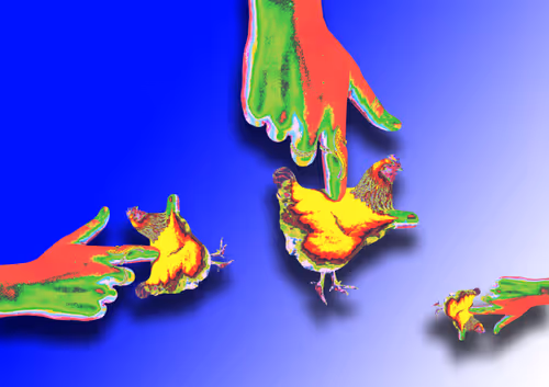 109916393905719149600013745629889704679539364893856634148780434955287503306753