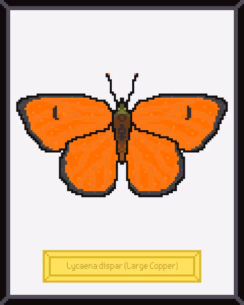 Item #99944933364211782028652678854730295040838579789766917923662069150065788715009 Media