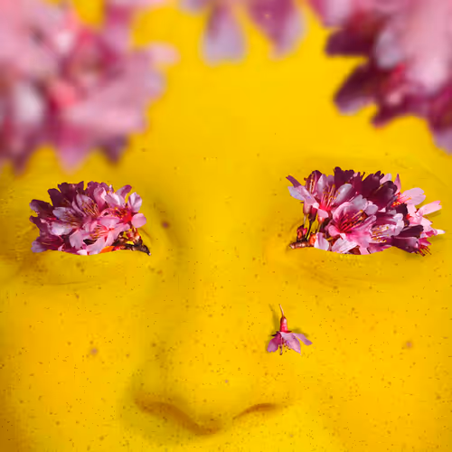 Item #7899364332096867904210559349392739879553261430886230105902976390329232523265 Media