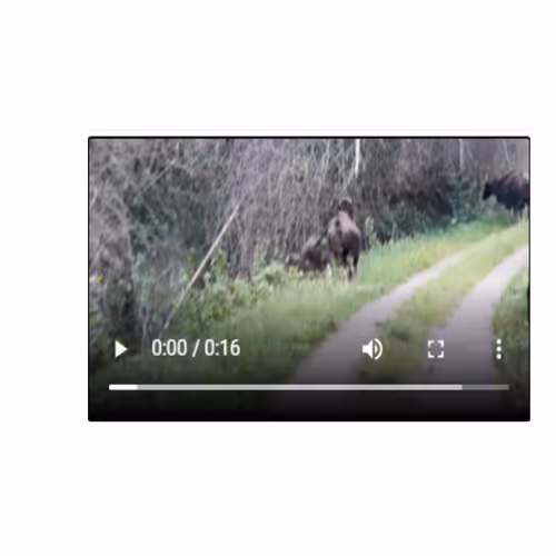 Untitled Collection #70781649