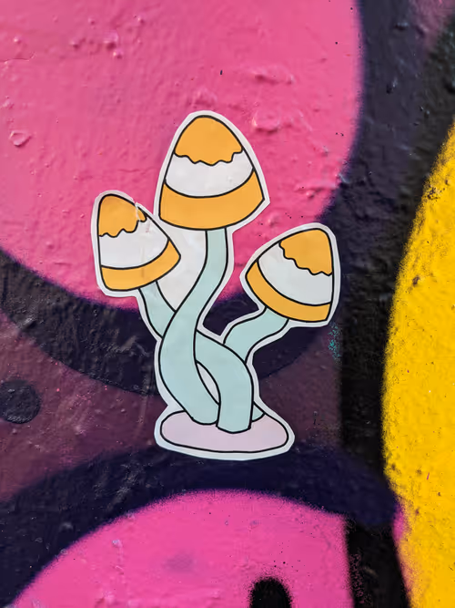 Item #74514486366930999863183303937488495413909095535195909856011804916094030839809 Media