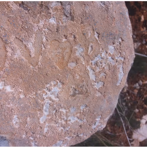 10115204743912384149858394014160575023282434224163445804463740373473995784193