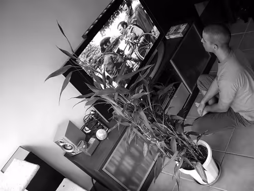 Item #90073714004006768940512146995321441208821818491664654500513793351442262654977 Media