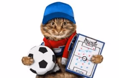 Item #27303849716306789948327755583178439872531528133948944823644530025765527356392 Media