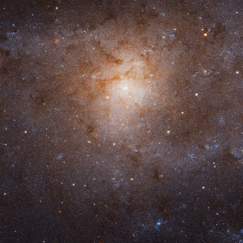 Item #86001380642520711809746068795917912746574378059869332832230730627637028323329 Media