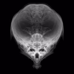 Alien Embryo - 390 of 2000