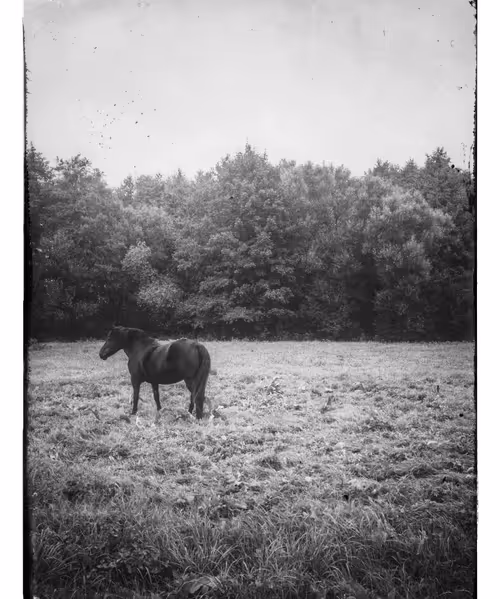 Item #54278754786012052101215444951673443113969909932981723830775713672874501865473 Media