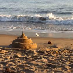 Sandcastle & Seagull Will Rogers State Beach Malibu California