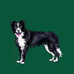 13080766421190555612307919645379576803990371461875354718024555162907397062666