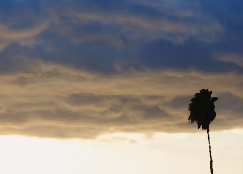 Item #10967797302544997292348367734440924837539759704030790003573127161924374495233 Media