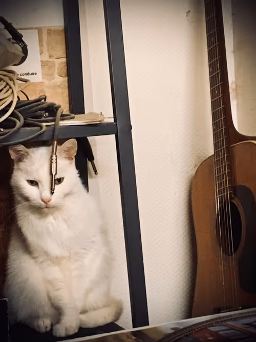 Item #46039222514168214662704738423809123365189852438575200110002396794774125281281 Media