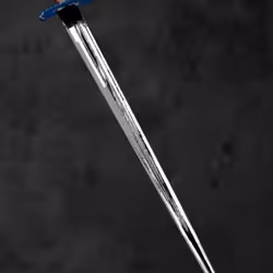 FRENCH SWORD