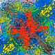 Frank_Art_now Collection