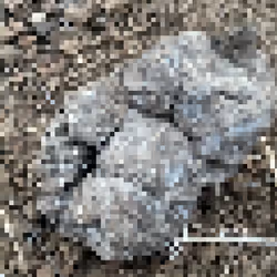 2850415134272365380187775685678842410458265265709128331682257471091398148097