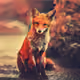 animals #43342401