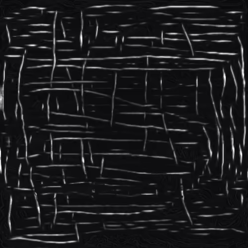 Dark life form