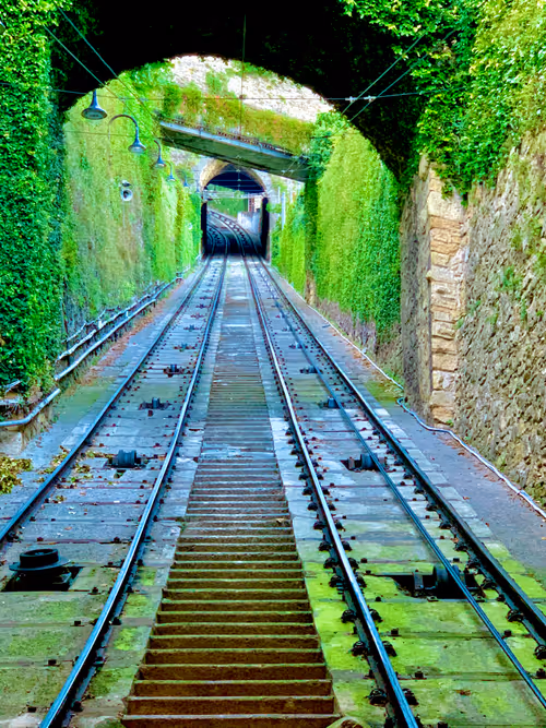 Item #68021680421370609917971695803708180506045537231368972803899735095521046429697 Media