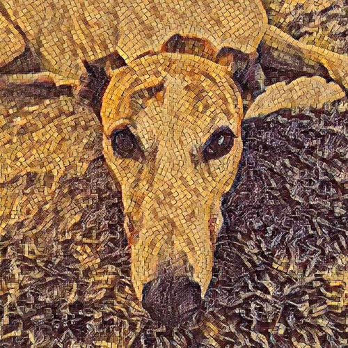 113233535435930126246803406212525192330824104616936385021501681206710084042753