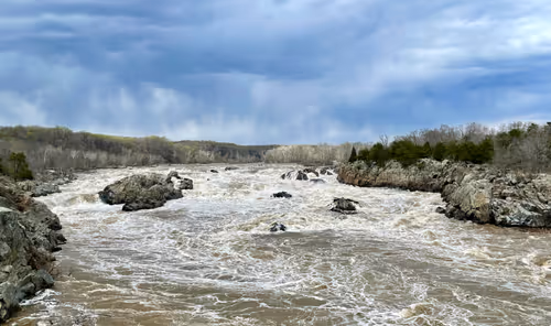 Item #60286361363657250857601775030637471218171117852543341295073304036041241395201 Media