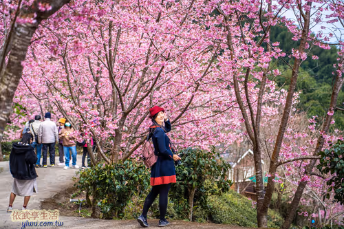 Item #100744422725674417057824683306763013505668843176654858816283483980211024822273 Media