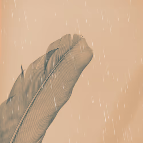 Untitled Collection #58311745