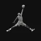 MJ23