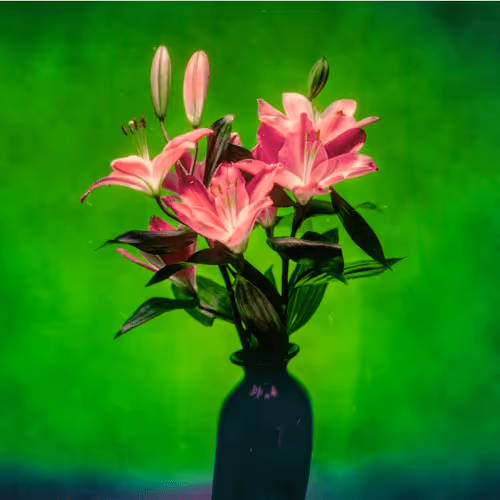 GabrielDeanRoberts Collection