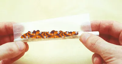 Item #25341286264500723035621473236106555894325910133190681856438129057490064637953 Media