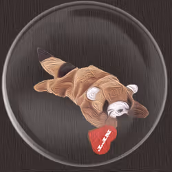 41776025324002017952572422073316458441069080831023694546850786303063315447809