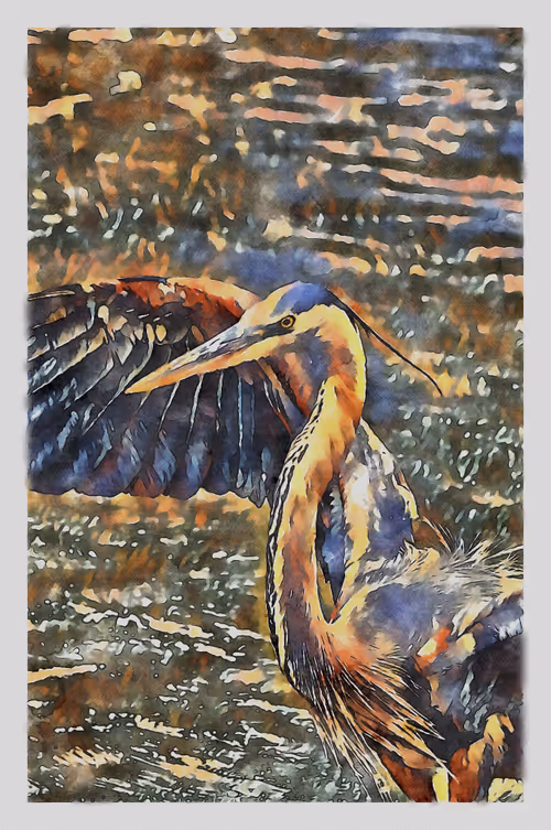 Item #55704534837685659622621715309832868758345944585427688586690141428957994549249 Media