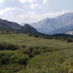 Meadows In The Mountains