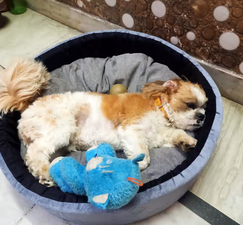 Item #62121686251446972173272091862159377047896999424671428629564572734069118337025 Media