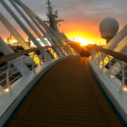 WDW 60