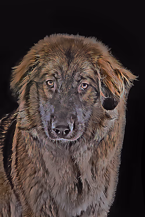 Item #1662425782654640170832190713280963699592465291637548006490664948708145102849 Media