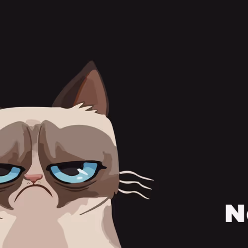 sad cat 