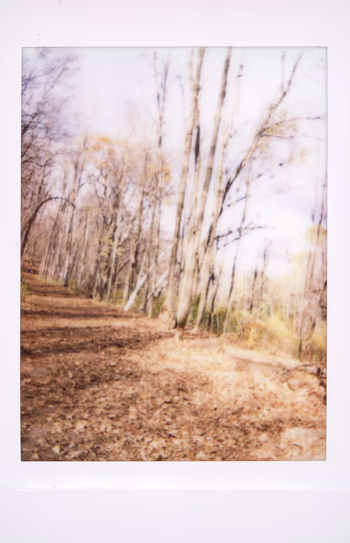 Item #106002358755633072780688393344306535131574018413591107715624238089931780521985 Media