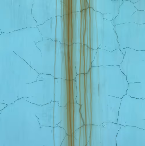 Item #46958899024090373232398737463413705293185688555081041498722300370401387085825 Media