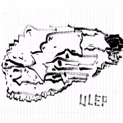 UltraLowEffortPunks #353