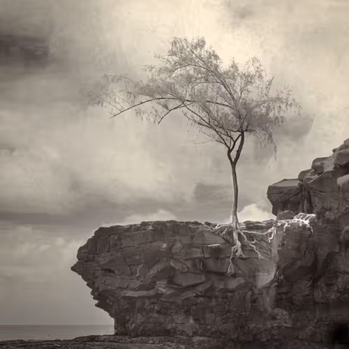 Item #82086394152813496729852745644400301310809698688948886085589871407626729816065 Media