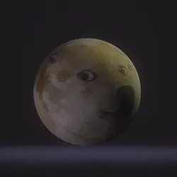 Doge Moontoken /Common/