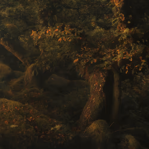 MYSTICAL LXXVIII (DREAMS)