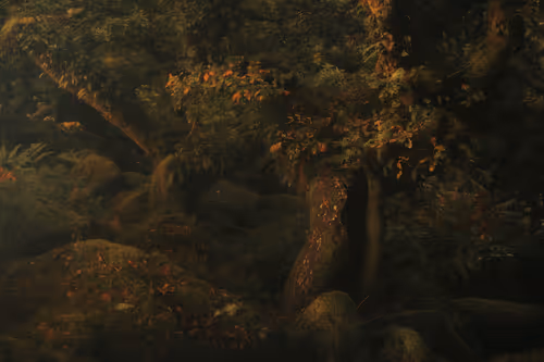 Item #72639390708267126639436568569652760193401123475841185469851730354410306404353 Media