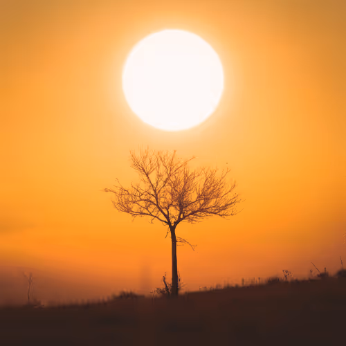 Vaughn Meadows - Digital Art